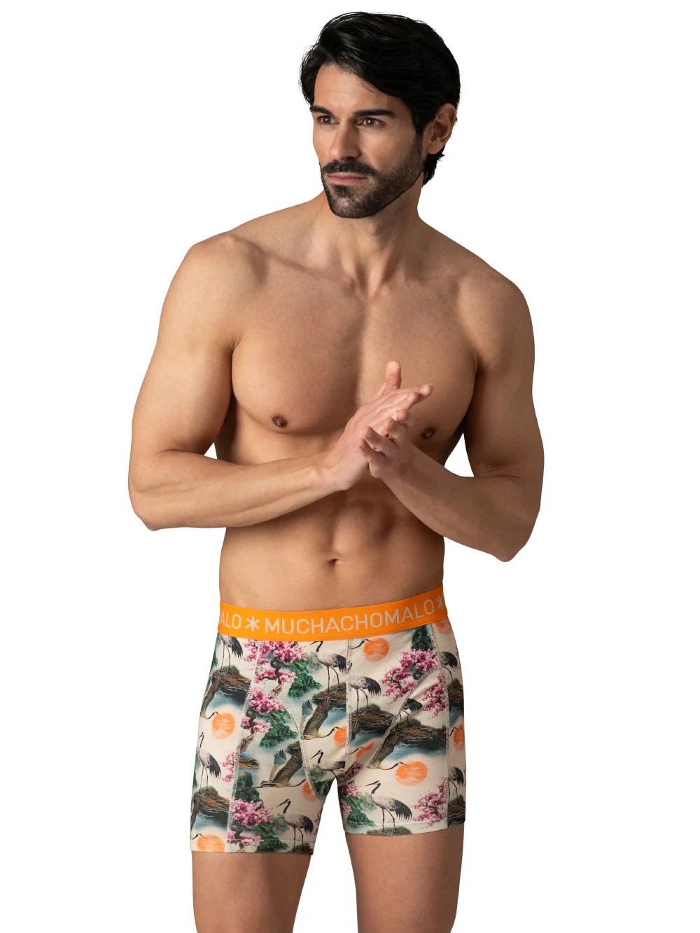 12 - Pack Golden Boxer Short U-GOLDEN1010 20 Multi - Image 2