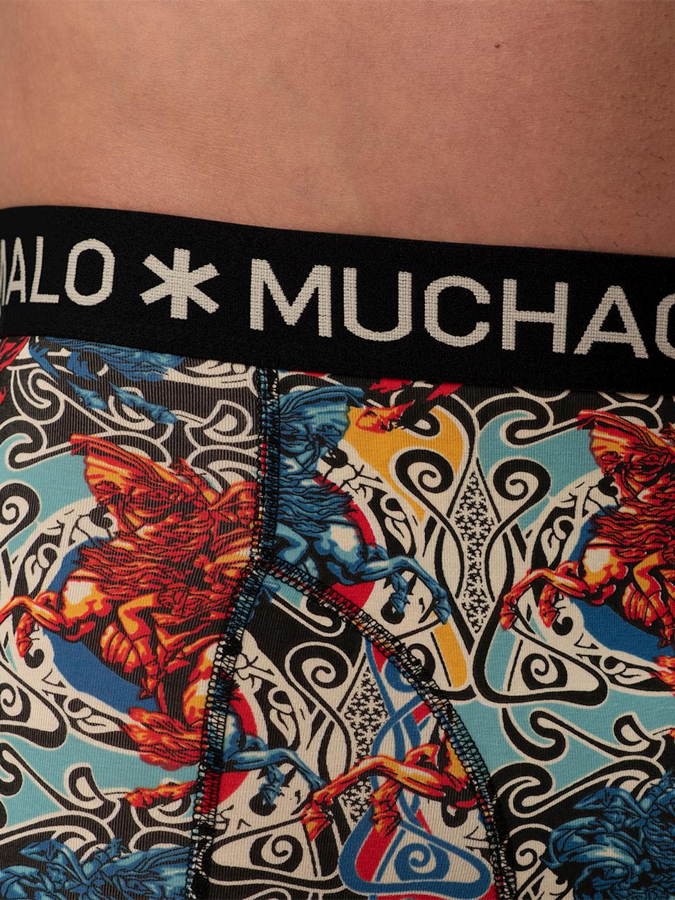 2 - Pack Boxer Shorts Alps ALPS1010 04 Print/Print - Image 2