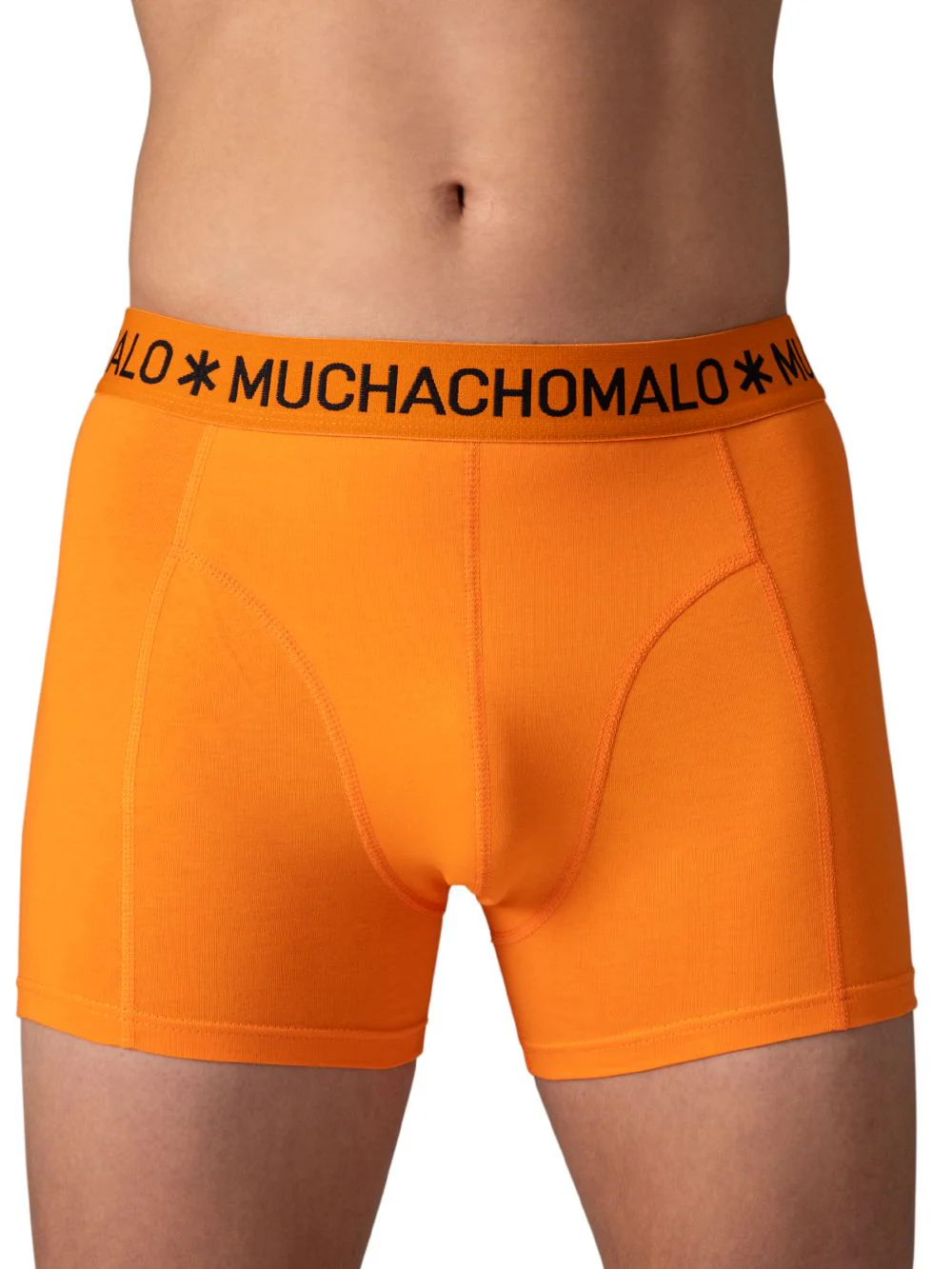 2 - Pack Dutch Lion Boxer DUTCHLION1010 - Image 4