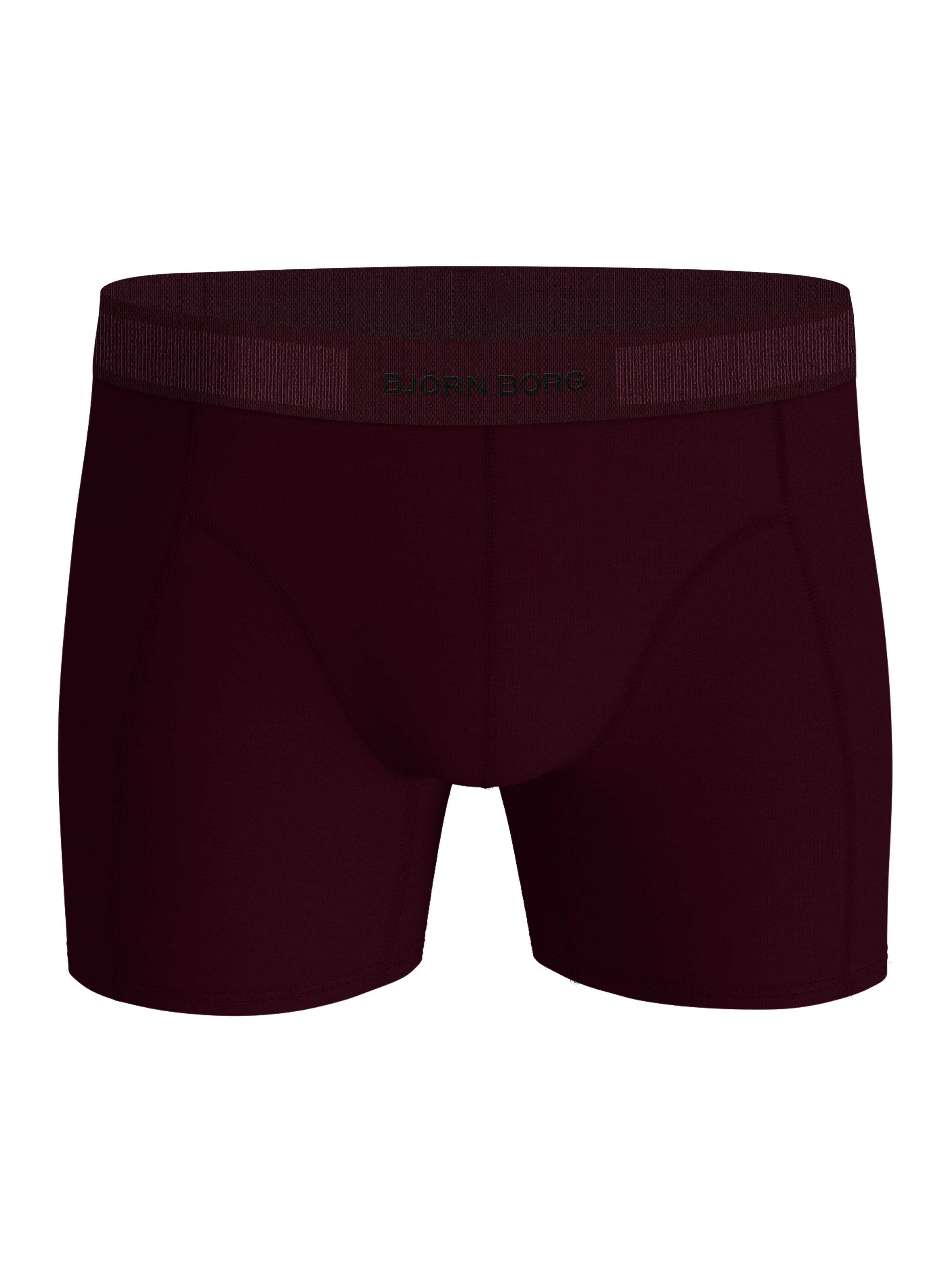 2 - Pack Organic Cotton Stretch Boxer 10005390 MP004 Multi - Image 3