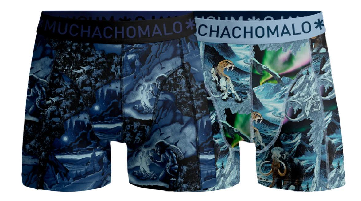 2 - Pack Prehistory Boxer Shorts PREHISTORY1010 - Image 2