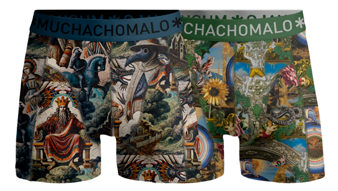 2 - Pack Premodern Boxer Shorts PREMODERN1010 - Image 2