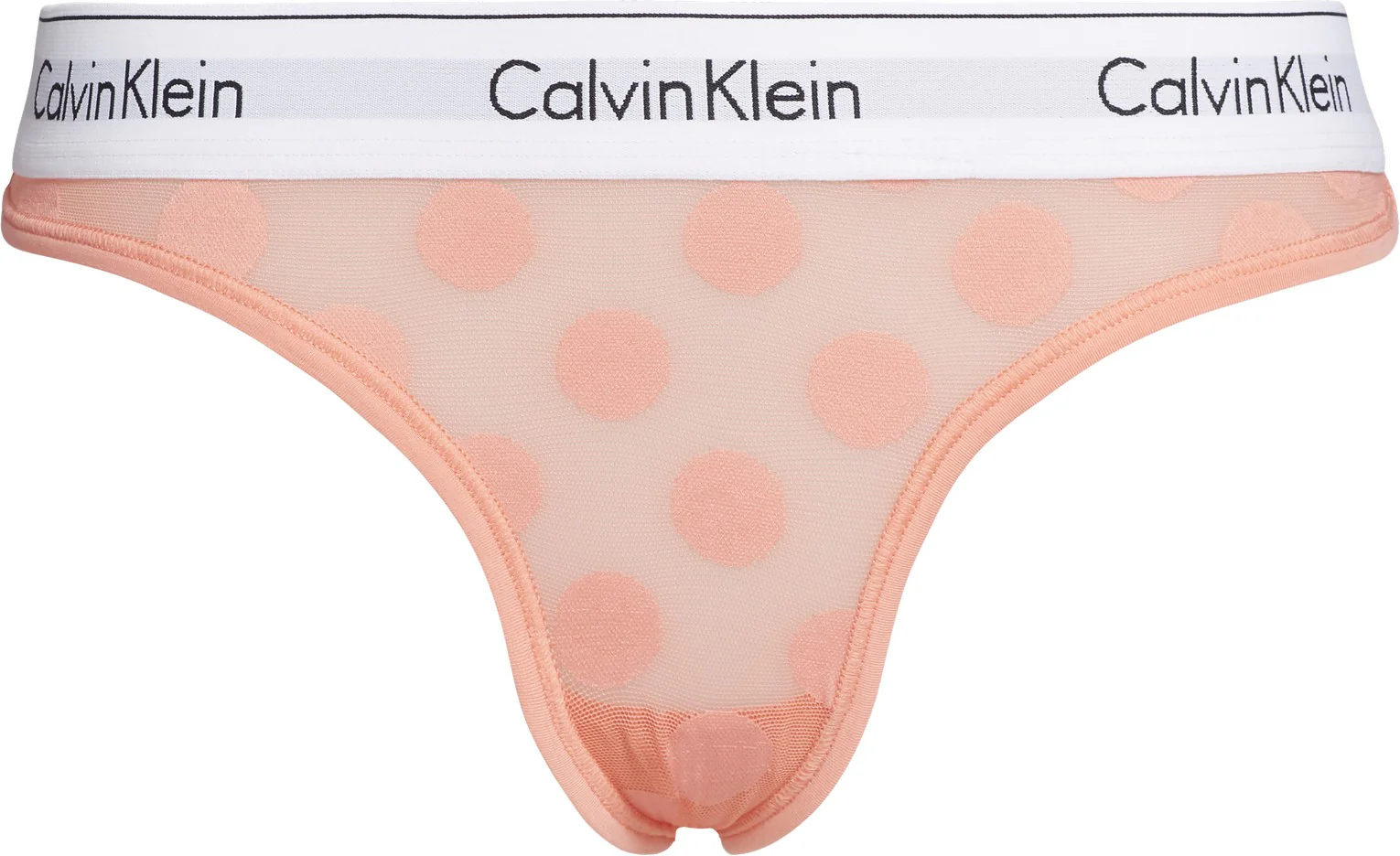 String QF5849E GDS Gerbera Daisy