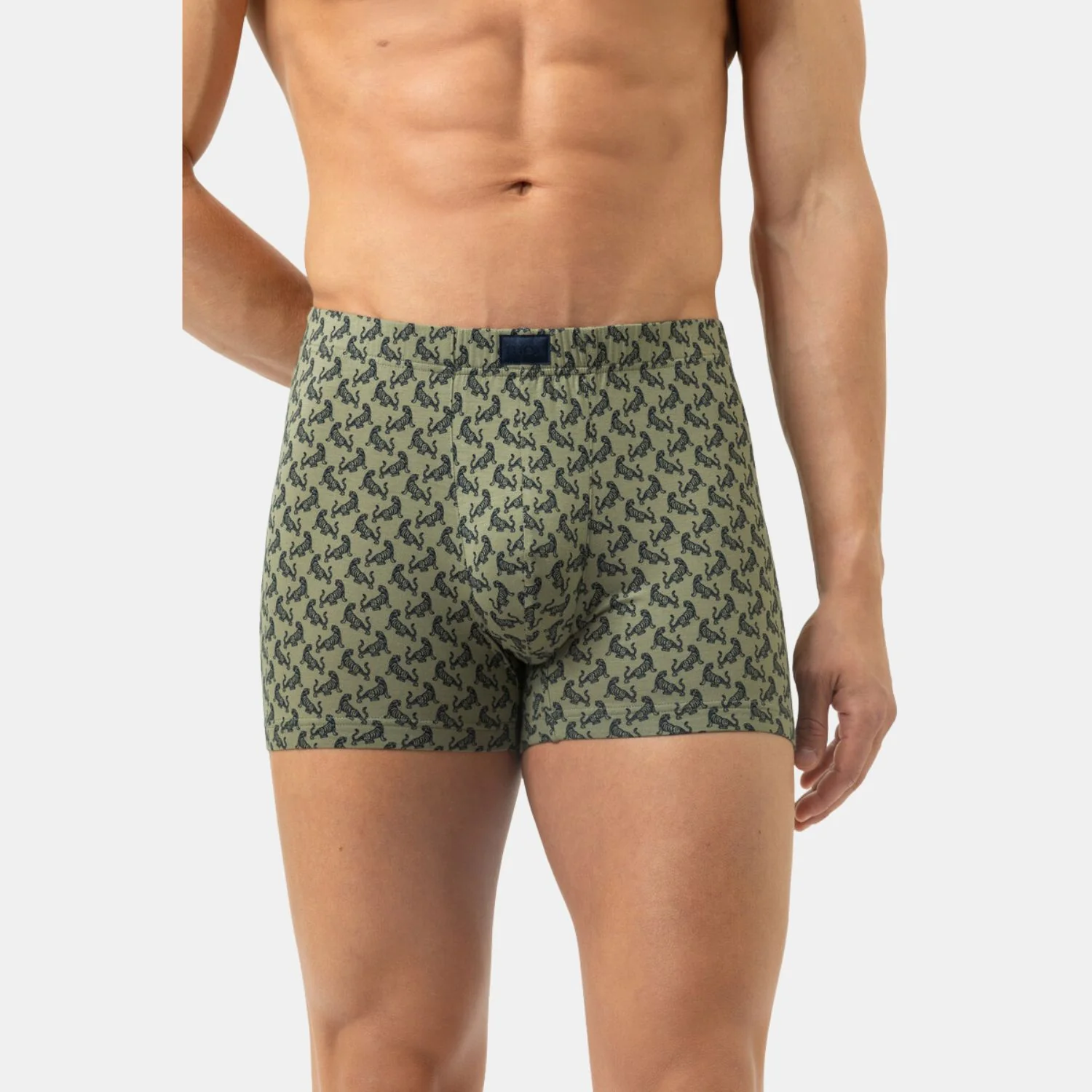 Tipsy Tigers Trunk Shorty 2120189 1781 faded olive